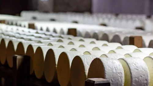 Ça vaut le détour : Le centenaire de l’AOP Roquefort