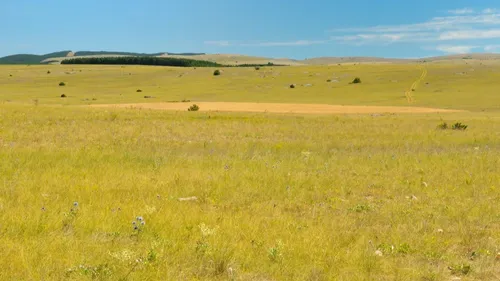 Ça vaut le détour : La Lozère et le cinéma
