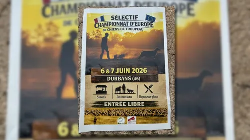 Durban (46) : Sélectif Championnat d'Europe de Chiens de troupeau...