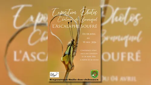 Bruniquel (82) : Châteaux de Bruniquel : l'ascalaphe soufré ; ...