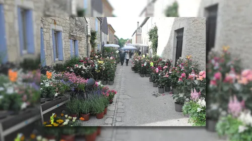 Montfaucon (46) : Foire aux plantes et fleurs 