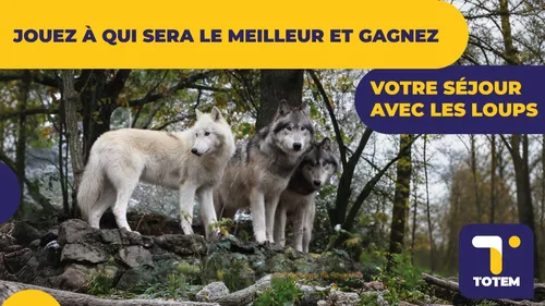 Gagnez votre séjour au parc animalier "Les Loups du Gévaudan" !