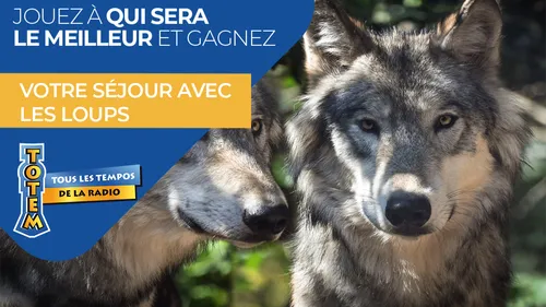 Gagnez votre séjour au parc animalier "Les Loups du Gévaudan"
