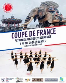 Coupe de France de patinage synchronisé à Nantes