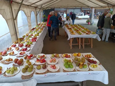 Fête de l'automne à Bannalec
