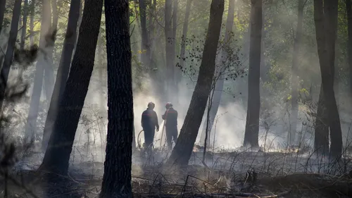 Ille-et-Vilaine : un violent incendie brûle 200 hectares de forêt,...