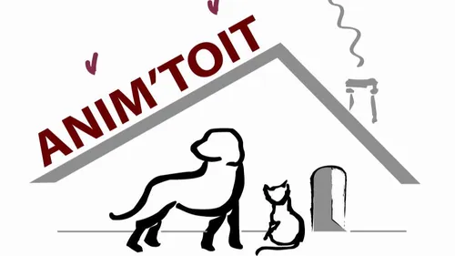 Danser pour offrir une seconde chance aux animaux du refuge ! 