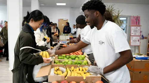 Précarité étudiante : 30 % des bénéficiaires d'aide alimentaire...