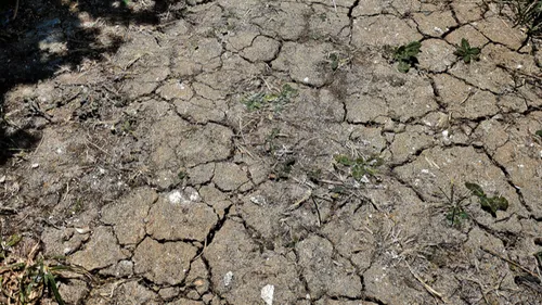 Loire-Atlantique : les premières restrictions tombent face au...