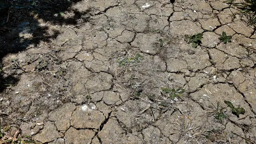 Loire-Atlantique : la préfecture durcit les conditions pour pouvoir...