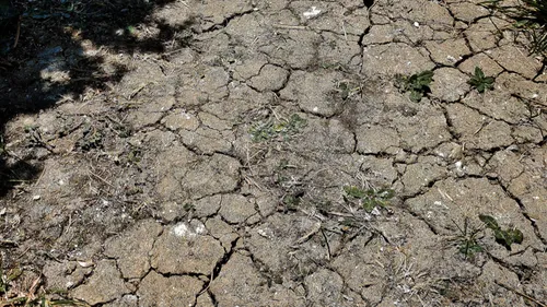 Sécheresse : l'alerte s'étend en Vendée, de nouvelles limitations...