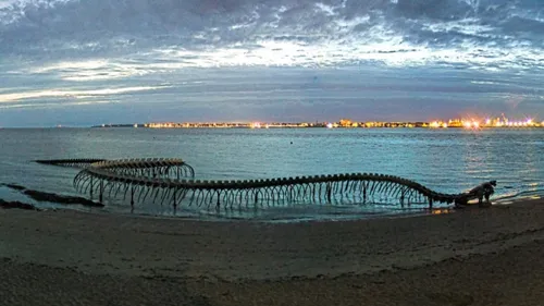 Saint-Brévin : une caméra filme désormais le Serpent d'Océan nuit...