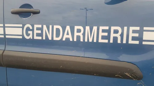 Boussay : l'automobiliste qui a renversé un enfant samedi a été...