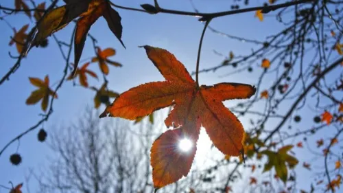 Un air de printemps en novembre : la Bretagne et les Pays de la...