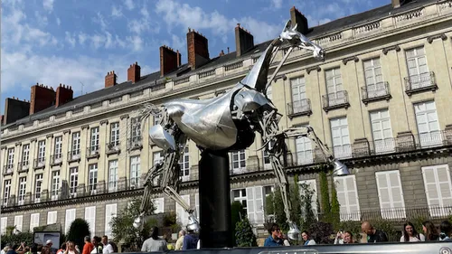 Zeus, la Bretagne et le vent du large : Aurélien Meyer réinvente le...