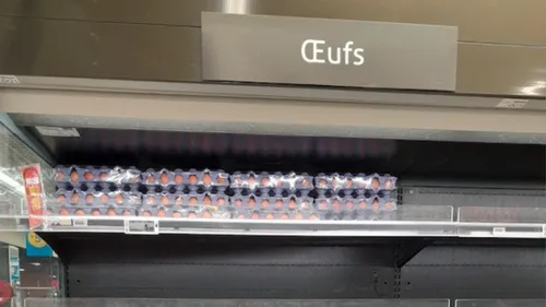 Pourquoi les œufs disparaissent des rayons des supermarchés