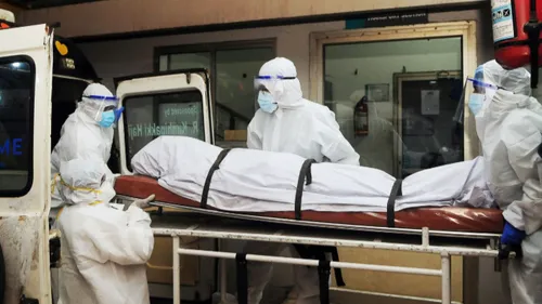 Virus Nipah : une nouvelle maladie rare redoutée, sous surveillance...