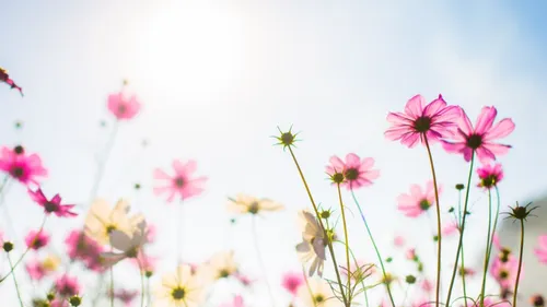 Le printemps reprend ses droits : place au renouveau !