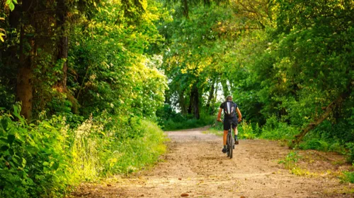 Oubliez les somnifères ou anti-stress, la nature serait peut-être...
