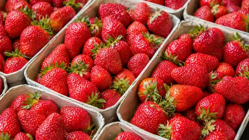 Fraises : pourquoi c’est maintenant qu’il faut en profiter... et...