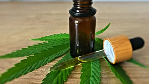 CBD alimentaire : Clap de fin pour les produits dérivés dès ce 15 mai