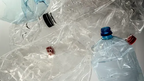 Recyclage des bouteilles : l'Ouest parmi les meilleurs élèves mais...
