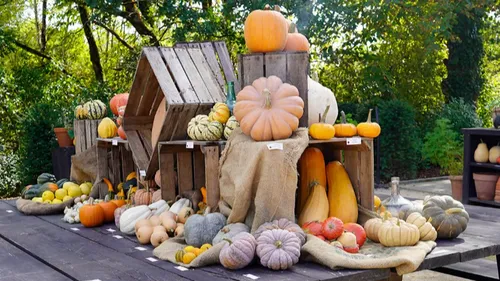 Vendée : le Potager extraordinaire passe en mode Halloween