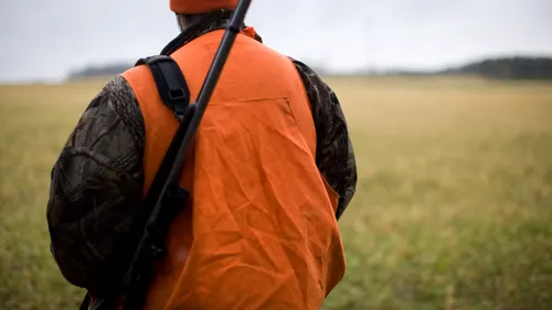 Vendée : des chasseurs tirent en l'air et blessent une femme sur...