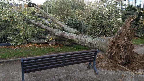 Tempête Ciaran : ce qu'il faut retenir du passage de la tempête...