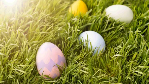 Pâques : d'où vient la tradition des œufs en chocolat ?