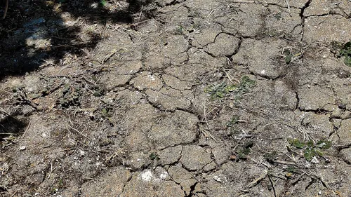 Loire-Atlantique : nouvel arrêté de restriction de l'usage de l'eau 