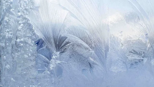 Et si l’Ouest connaissait un vrai coup de froid avant la fin janvier ?