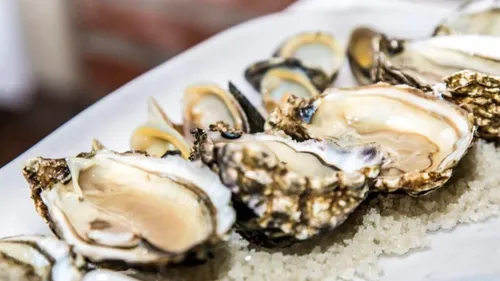 Baie de Bourgneuf : la vente d'huîtres à nouveau autorisée