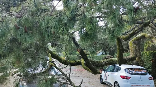 Tempête Ciaran : les photos des dégâts en Loire-Atlantique