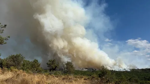 Forêt de Brocéliande : le feu fixé, les opérations de sécurisation...