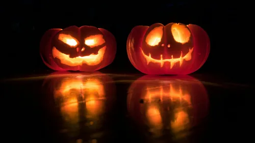 Hallomeen : 9 000 visiteurs attendus pour une soirée d’Halloween...