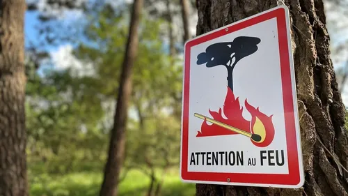 Feux de forêt : un été sous tension dans l’Ouest, la vigilance est...