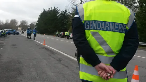 En Vendée, des passagers d'une voiture jettent une chienne par la...