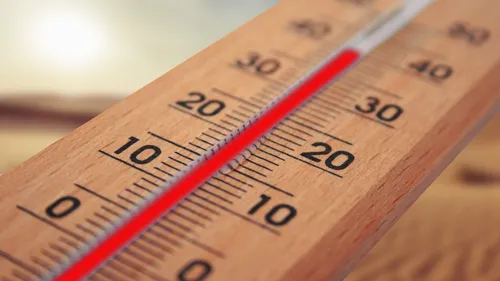 Canicule : un jeudi historique et étouffant dans le Grand Ouest
