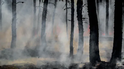 Incendies : la solidarité s'organise en Bretagne et dans les Pays...
