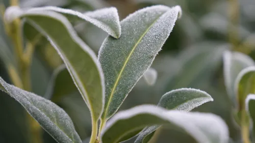 Météo : retour d’une ambiance plus hivernale dans le Nord-Ouest
