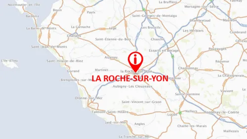 En Vendée, une rivière polluée après un "incident" dans une station...
