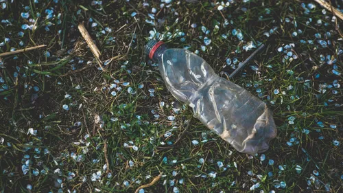 Routes saturées de déchets : le cri d’alerte de la DIR Ouest