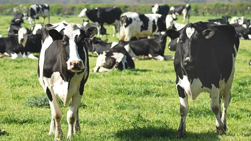 Agriculture : un plan de soutien proposé par l'Ille-et-Vilaine face...