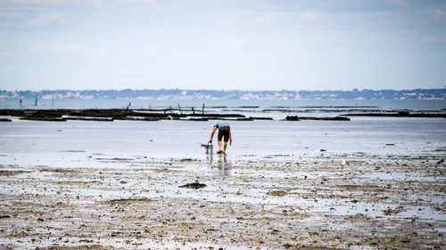 Loire-Atlantique : levée progressive de restriction de la pêche