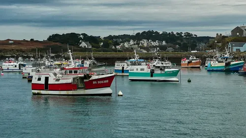 La pêche de nouveau suspendue un mois dans le golfe de Gascogne