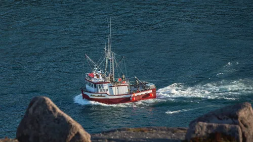 "L'heure est grave pour la pêche vendéenne" : le cri de colère...