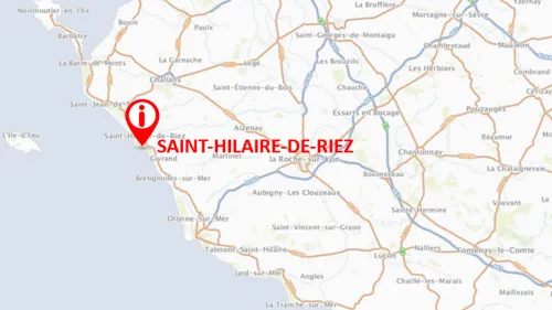 Vendée : un dauphin retrouvé mort dépecé à Saint-Hilaire-de-Riez
