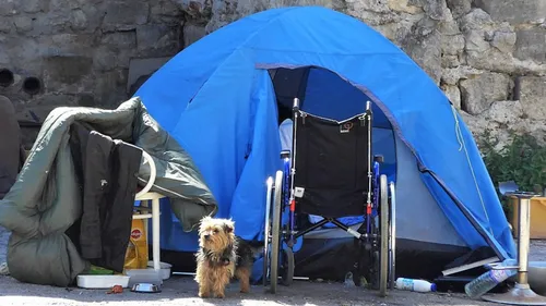 Un calendrier solidaire pour les SDF et leurs animaux en...