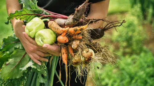 En Normandie, les agriculteurs bio attendent plus de soutien